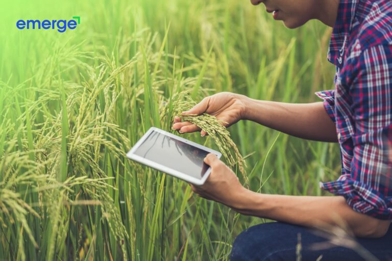 PSAU partners with Emerge, gears for a Digitized Aqua-Agribusiness Industry