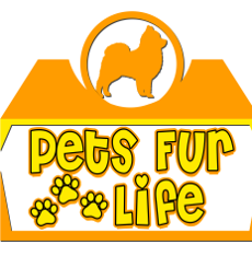 Pets Fur Life Animal Clinic