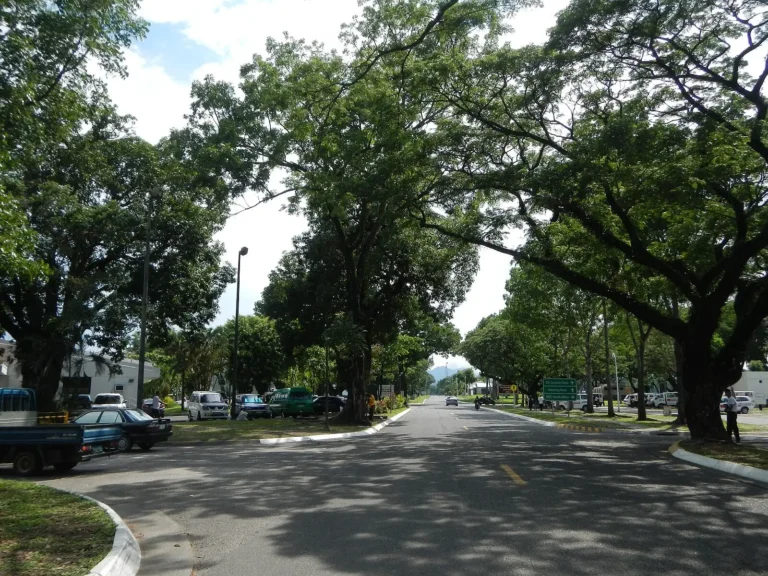CDC ‘GREEEN’ Accreditation fosters resilient, sustainable Clark Freeport