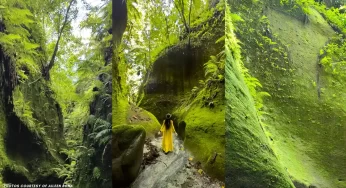 Pampanga’s Tutulari Avatar Gorge: A Secret Wonder in the Mountains
